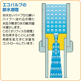 �G�R�o���u(�ߐ����)