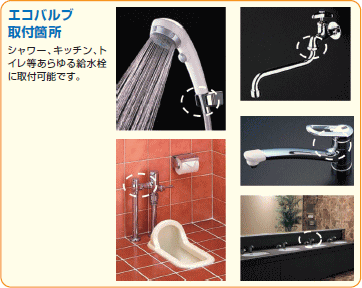 �G�R�o���u(�ߐ����)